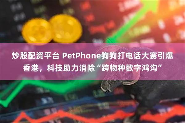 炒股配资平台 PetPhone狗狗打电话大赛引爆香港，科技助力消除“跨物种数字鸿沟”