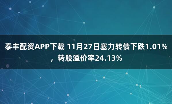 泰丰配资APP下载 11月27日塞力转债下跌1.01%，转股溢价率24.13%
