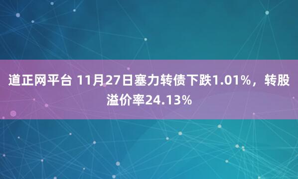道正网平台 11月27日塞力转债下跌1.01%，转股溢价率24.13%