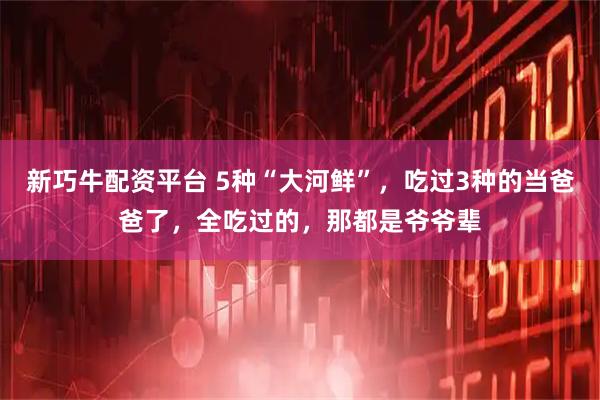新巧牛配资平台 5种“大河鲜”，吃过3种的当爸爸了，全吃过的，那都是爷爷辈