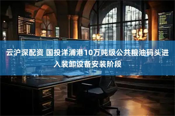 云沪深配资 国投洋浦港10万吨级公共粮油码头进入装卸设备安装阶段